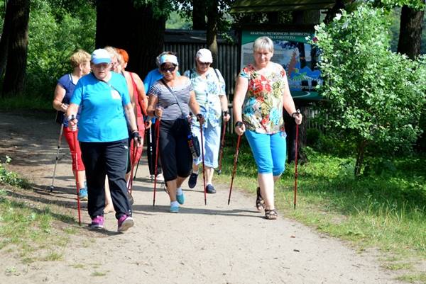 Zajęcia nordic walking dla seniorów z gminy Więcbork