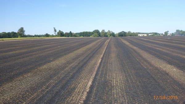 Pożarowy poniedziałek