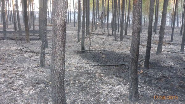 Pożarowy poniedziałek