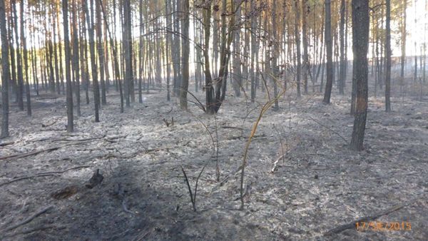 Pożarowy poniedziałek