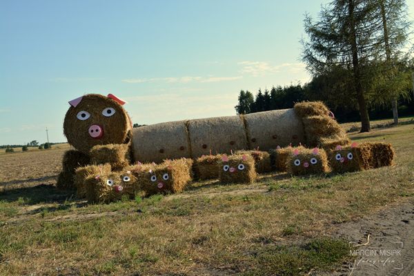 Dożynki Gminno-Parafialne w Lubczy