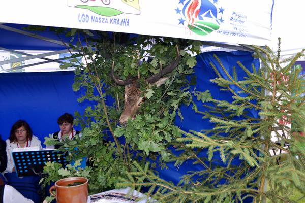 Kujawsko-Pomorskie Dożynki Wojewódzkie 2015 - Kowalewo Pomorskie