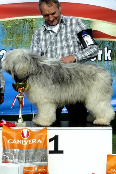 Klubowe Wystawy Psów Ras Polskich - Więcbork 2015