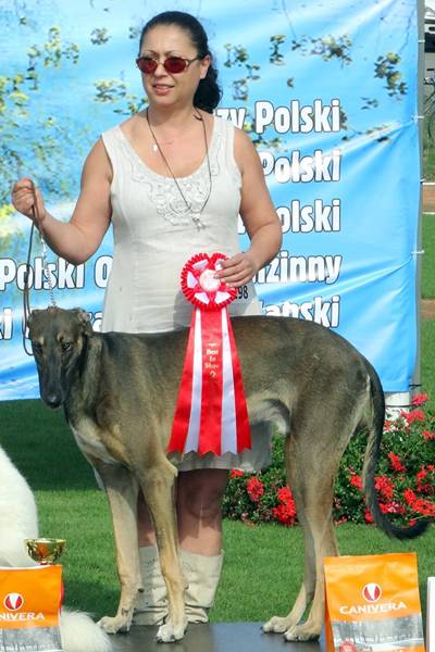 Klubowe Wystawy Psów Ras Polskich - Więcbork 2015