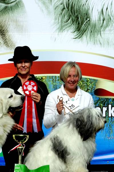 Klubowe Wystawy Psów Ras Polskich - Więcbork 2015