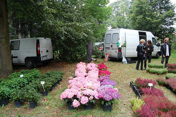 Sypniewo: Dzień Żurawia - foto cz.2