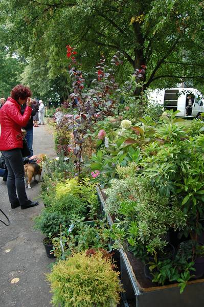 Sypniewo: Dzień Żurawia - foto cz.2