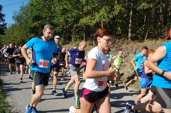 IV Bieg Pamięci Karolewo - Więcbork (foto. cz.1)