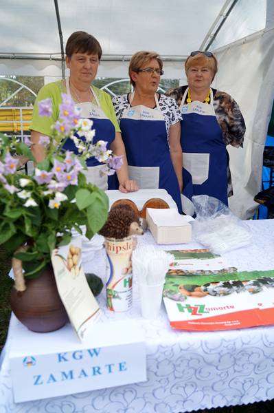 Udane VII Święto Ziemniaka w Kamieniu Krajeńskim!