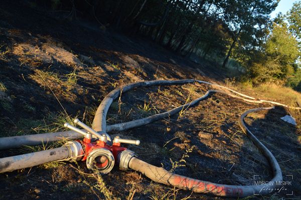Pożar lasu w Dorotowie