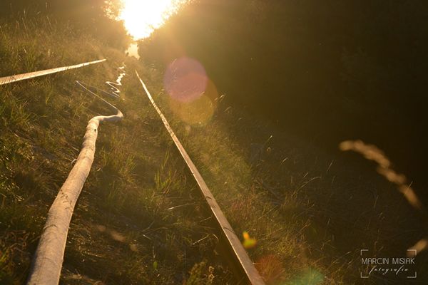 Pożar lasu w Dorotowie