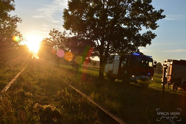 Pożar lasu w Dorotowie