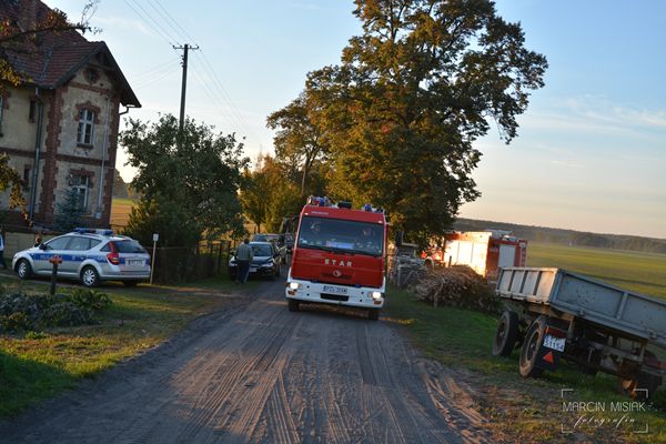 Pożar lasu w Dorotowie