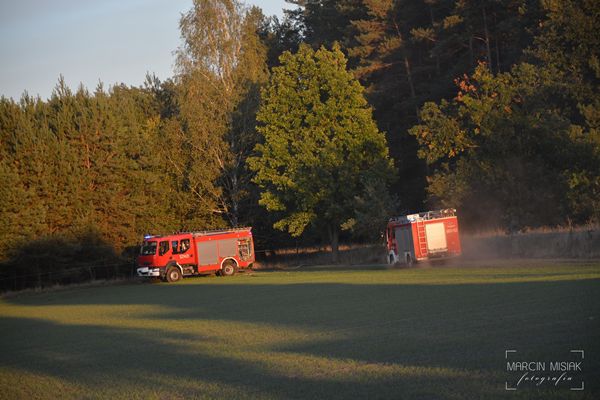 Pożar lasu w Dorotowie
