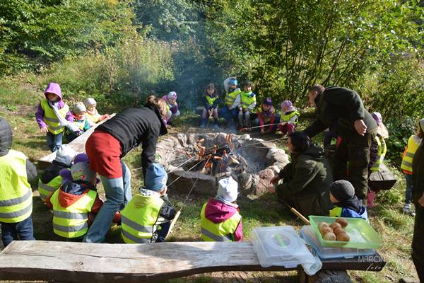Czym skorupka za młodu...