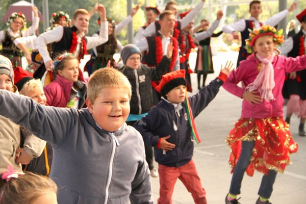 Sępólno: Wycięli hołubca w samo południe