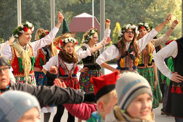 Sępólno: Wycięli hołubca w samo południe