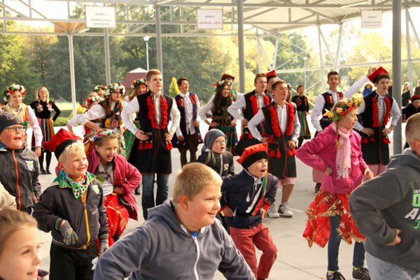 Sępólno: Wycięli hołubca w samo południe