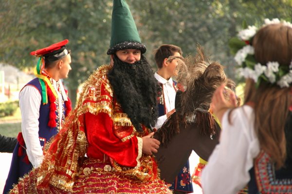 Sępólno: Wycięli hołubca w samo południe
