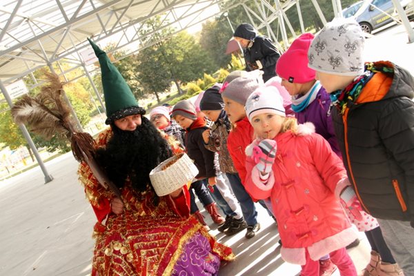 Sępólno: Wycięli hołubca w samo południe