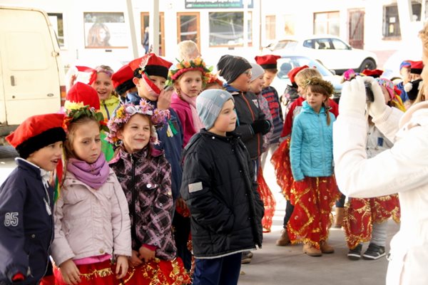 Sępólno: Wycięli hołubca w samo południe