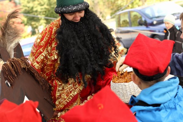 Sępólno: Wycięli hołubca w samo południe
