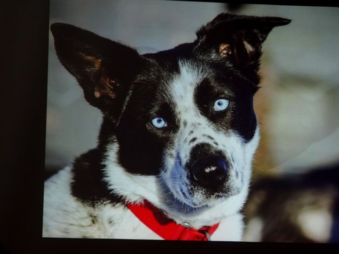 Sępólno: Opowieść człowieka, który 