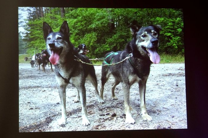Sępólno: Opowieść człowieka, który 