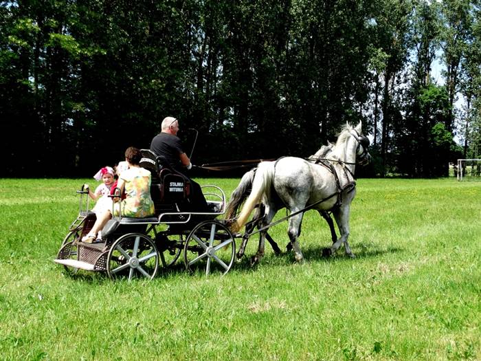 Wiśniewa: Piknik sportowy z mamą i tatą