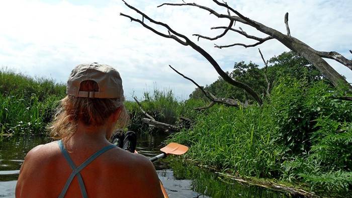 Kajakiem po rzece Wełnie