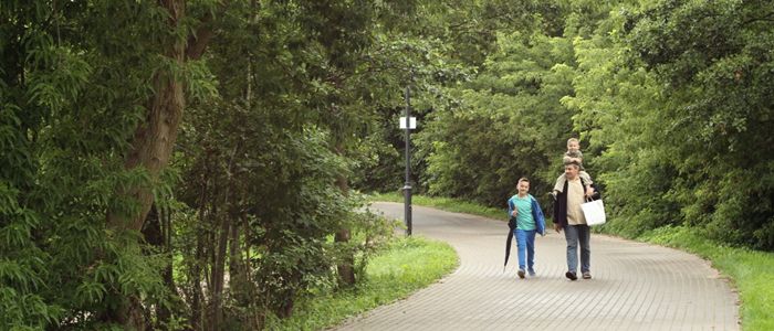 Więcbork: Gdzie jest Rycerz?