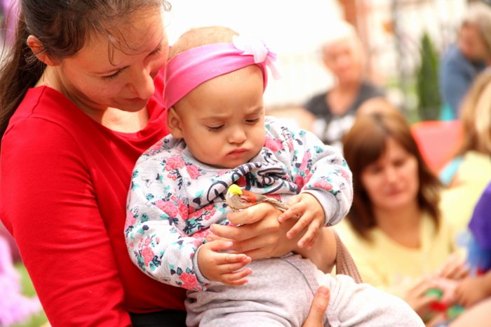 W papuzim gaju ptaszki śpiewają