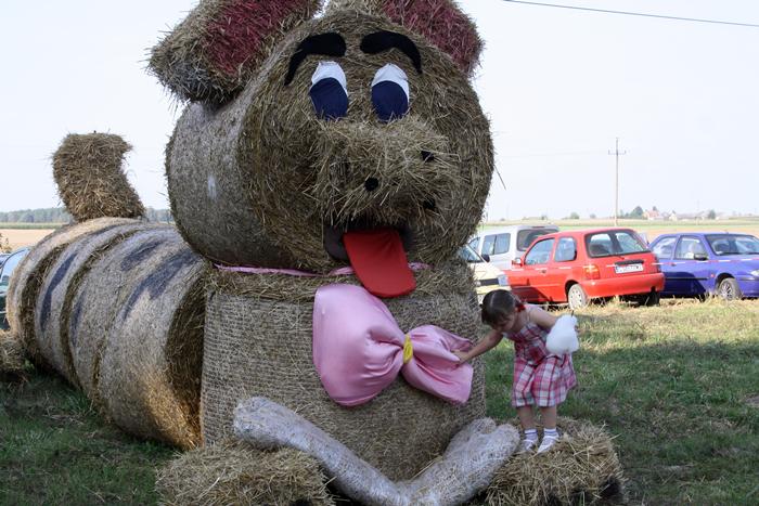 Sępólno: Gminne święto plonów w Wałdówku