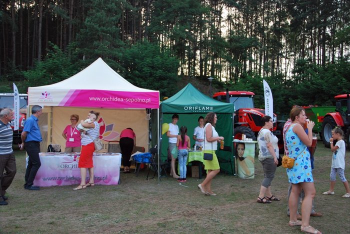Dożynki Powiatowo - Gminne w Kamieniu Krajeńskim [FOTO]
