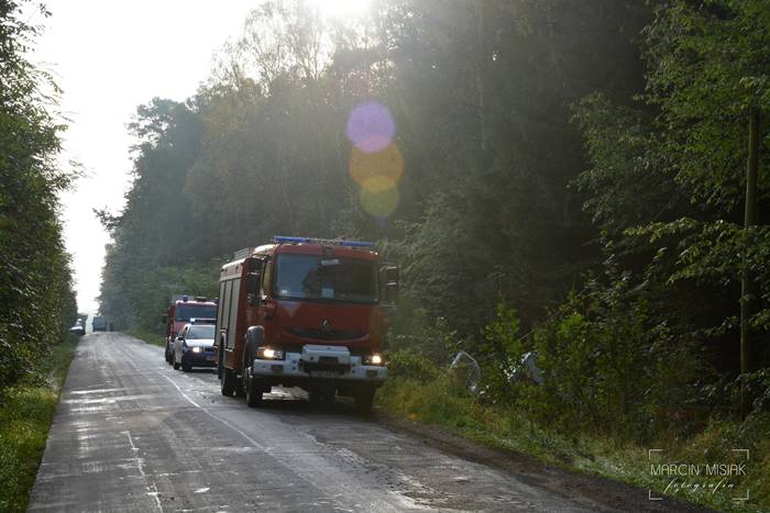 Sępólno-Lipka: Kolizja z dzikiem