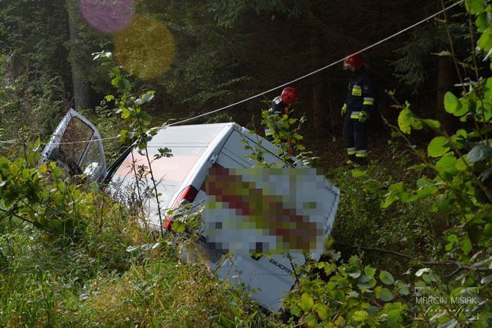 Sępólno-Lipka: Kolizja z dzikiem