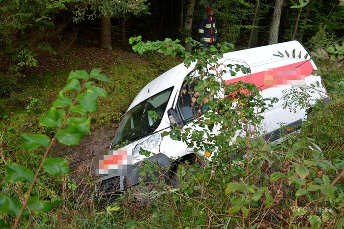 Sępólno-Lipka: Kolizja z dzikiem