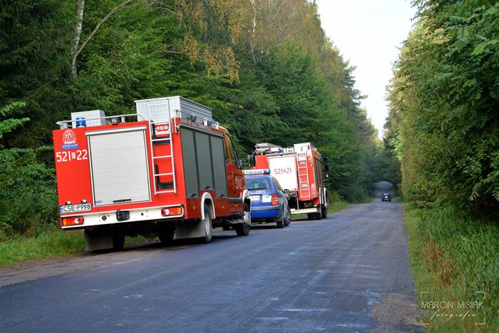 Sępólno-Lipka: Kolizja z dzikiem