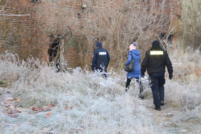 Wspólne kontrole miejsc przebywania bezdomnych