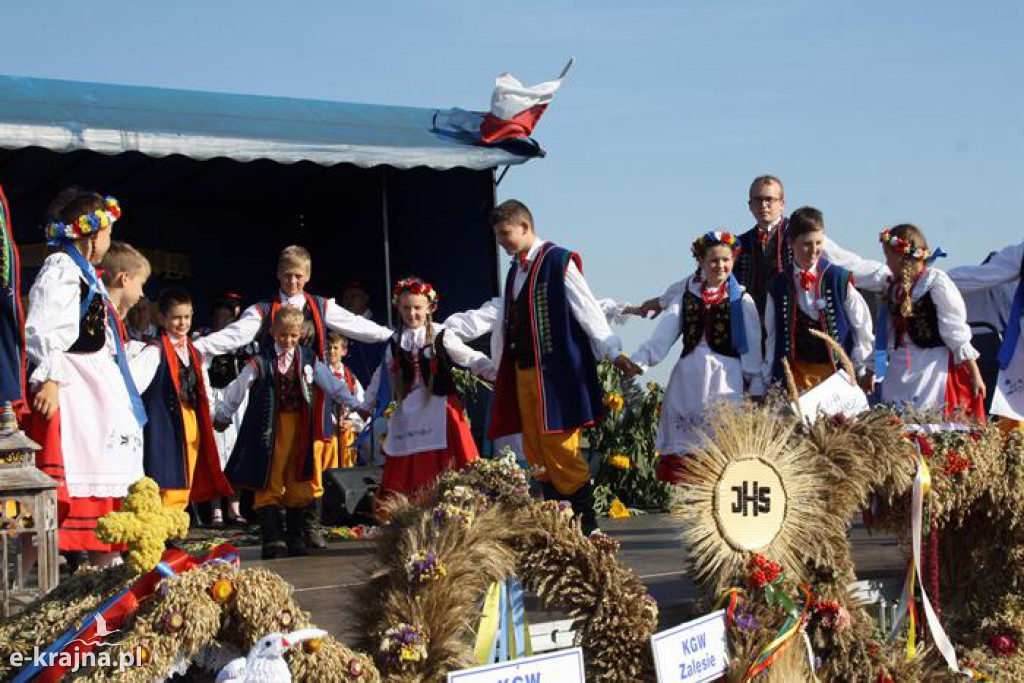 To był rok 2016 w powiecie sepoleńskim