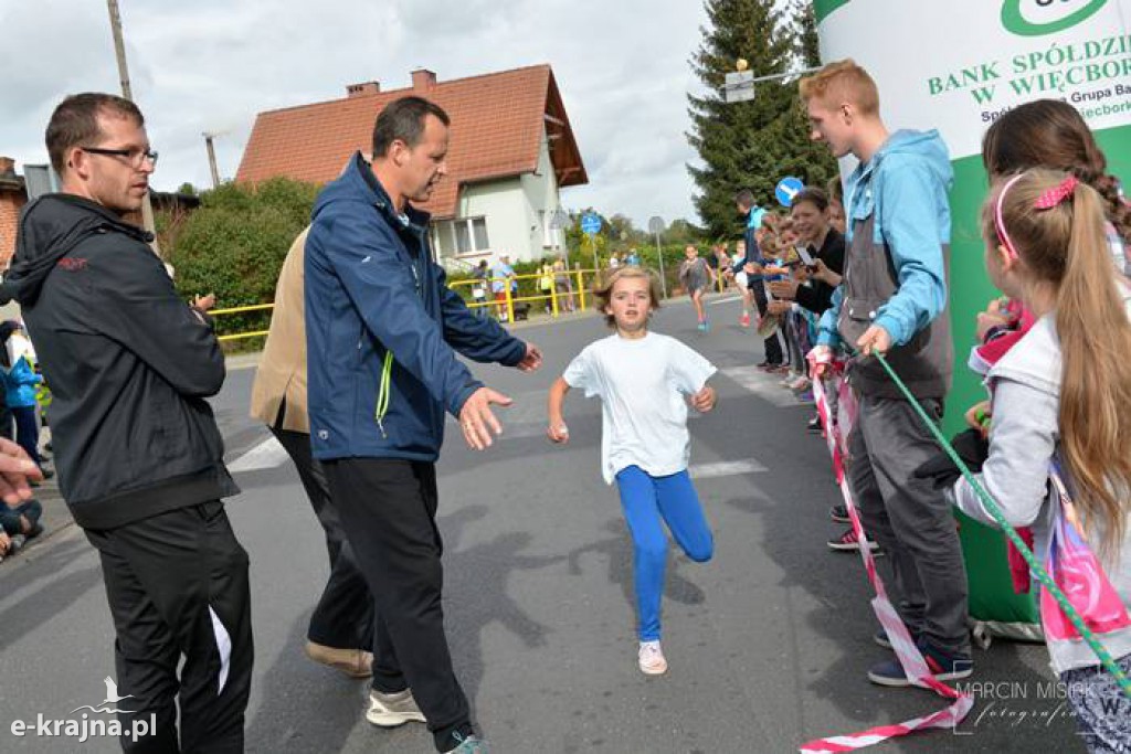 To był rok 2016 w powiecie sepoleńskim