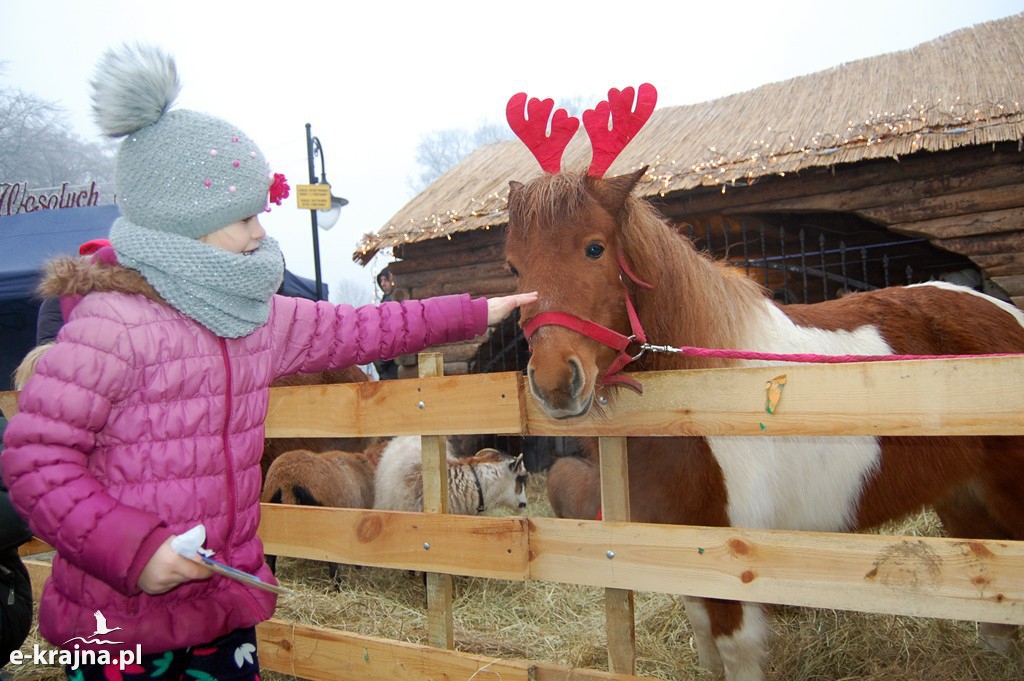 To był rok 2016 w powiecie sepoleńskim