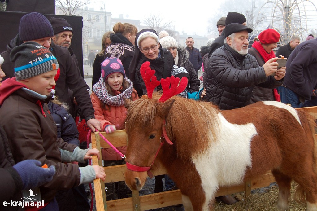 To był rok 2016 w powiecie sepoleńskim