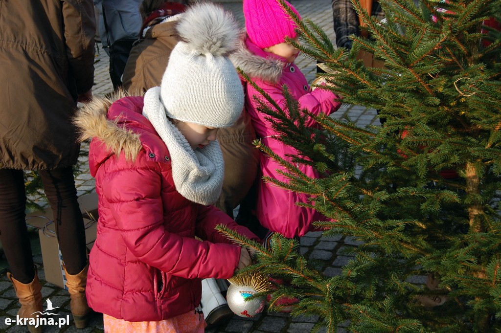 To był rok 2016 w powiecie sepoleńskim