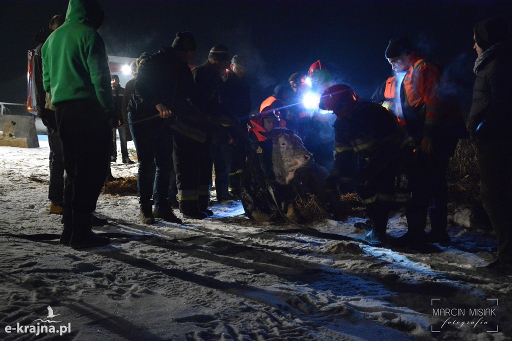 Trudna akcja ratunkowa