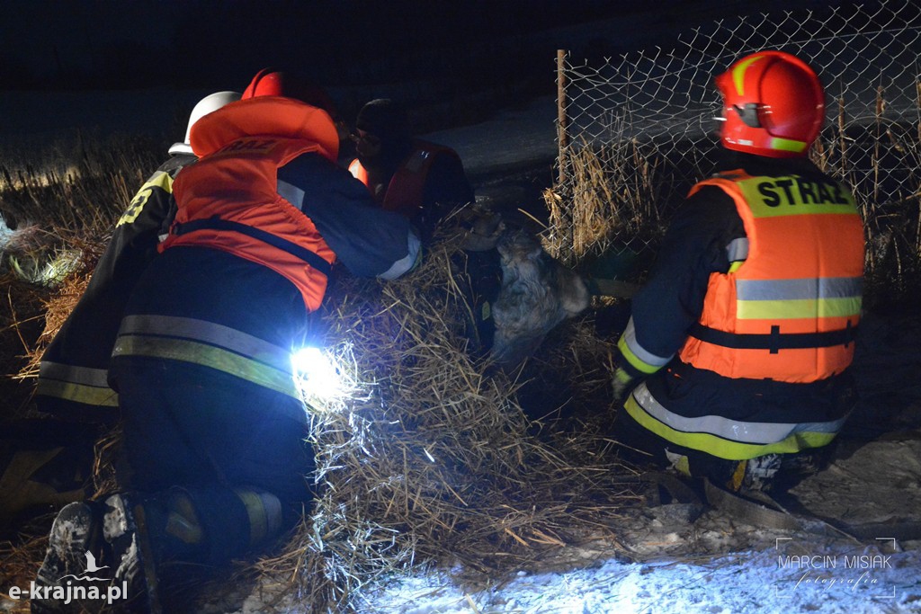Trudna akcja ratunkowa