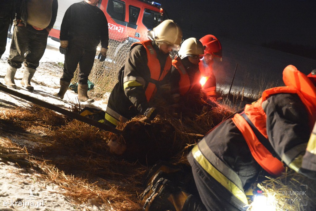 Trudna akcja ratunkowa