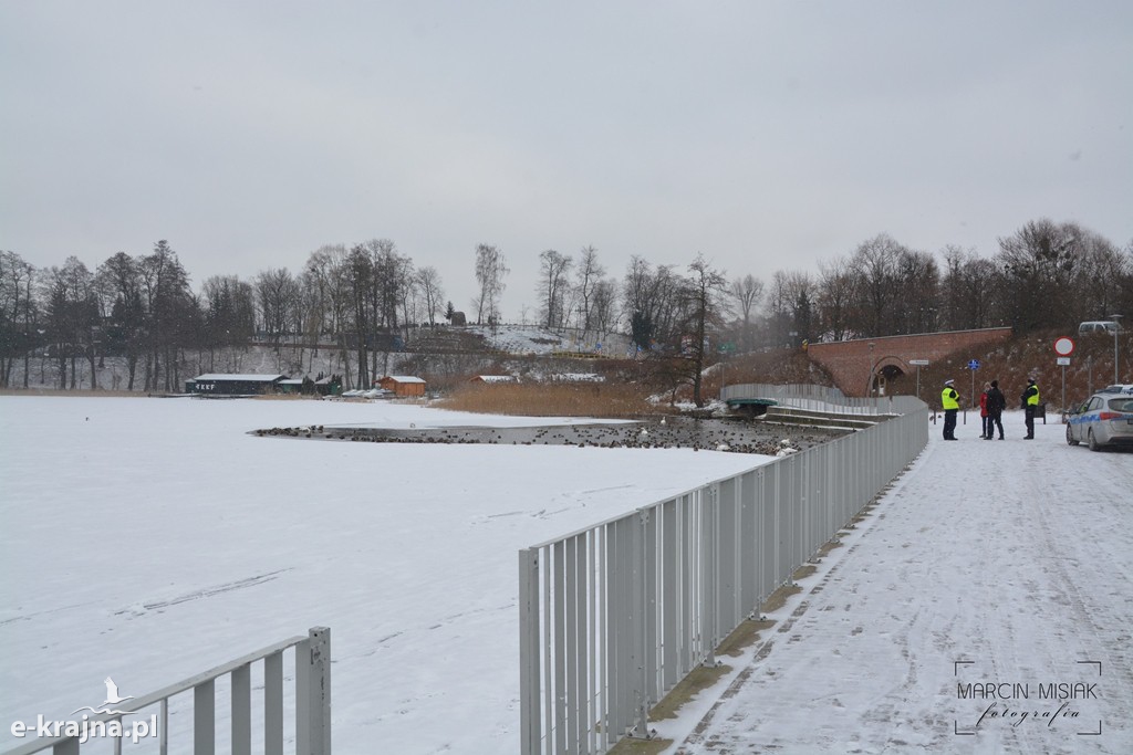 Ptasia grypa w Powiecie Sępoleńskim [FOTO]