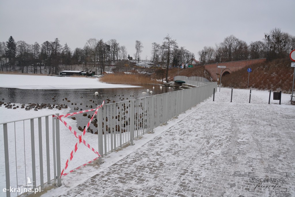 Ptasia grypa w Powiecie Sępoleńskim [FOTO]