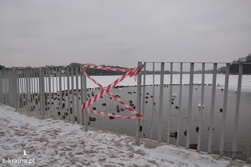 Ptasia grypa w Powiecie Sępoleńskim [FOTO]